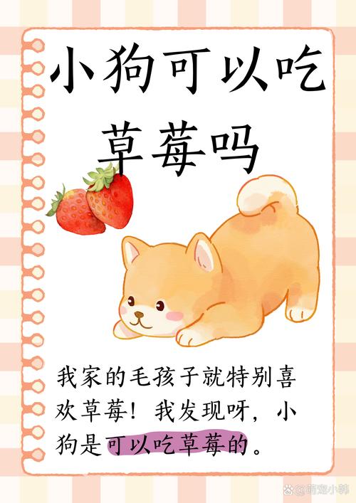 狗狗吃草莓可以吗