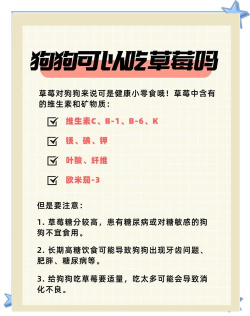 狗狗能喝草莓桑葚酸奶吗