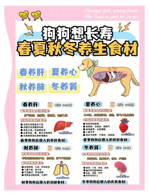 狗狗生产后多久可以喝鲫鱼汤?