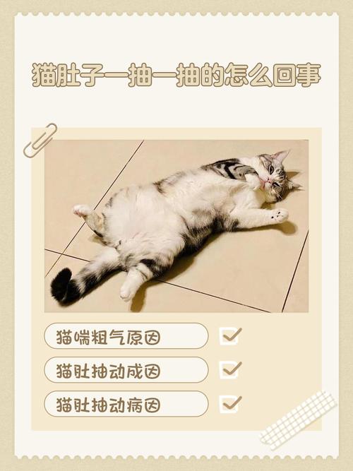 猫咪呼吸急促肚子一抽一抽的不吃饭