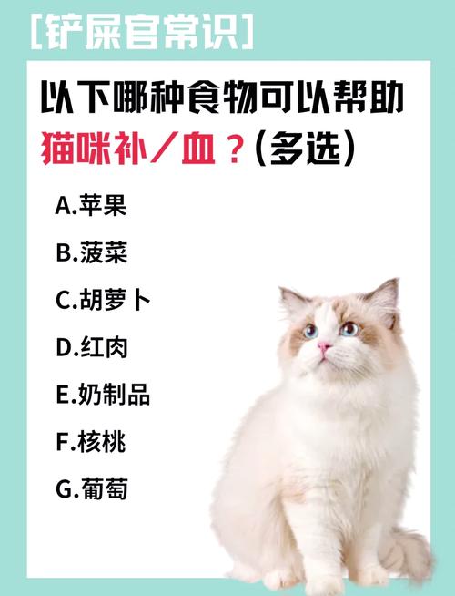 猫咪贫血适合吃什么食物?