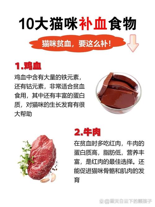 猫咪贫血吃什么比较好?喝易平剂安有用吗?