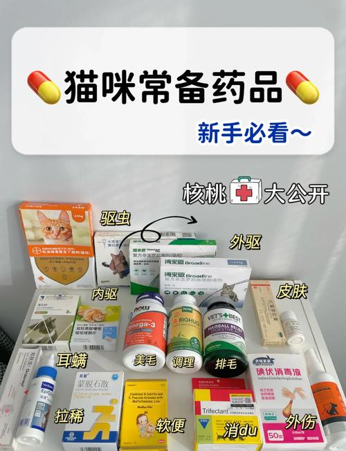 猫咪贫血需要吃什么