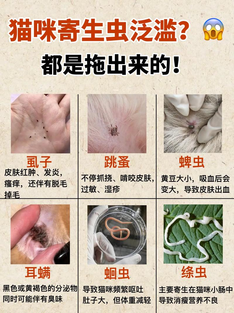 猫有寄生虫的症状有哪些?