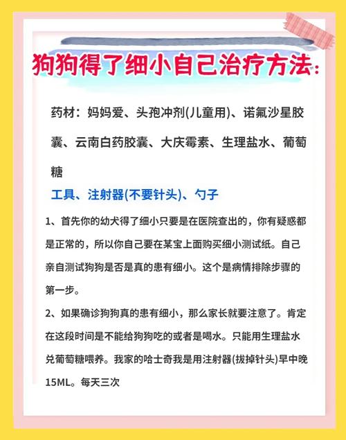 狗狗得了细小怎么治疗?