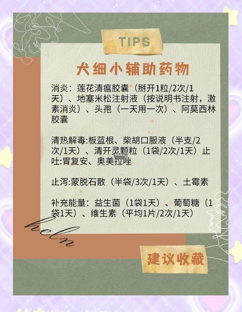 细小病毒自己在家怎么给狗狗治疗啊?