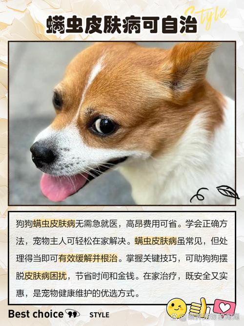 狗狗螨虫皮肤病怎么治除根