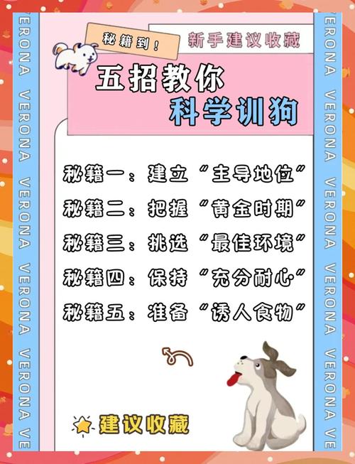 怎么训练狗狗听话