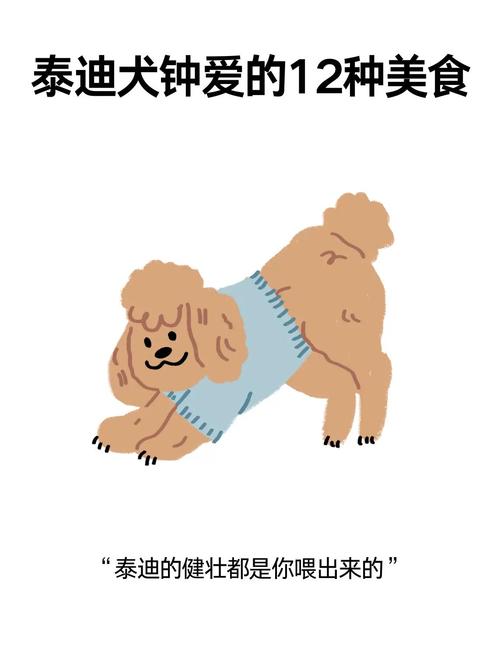在泰迪眼里,这八种食物是“最爱”