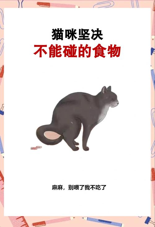 猫咪绝对不可以吃面包吗