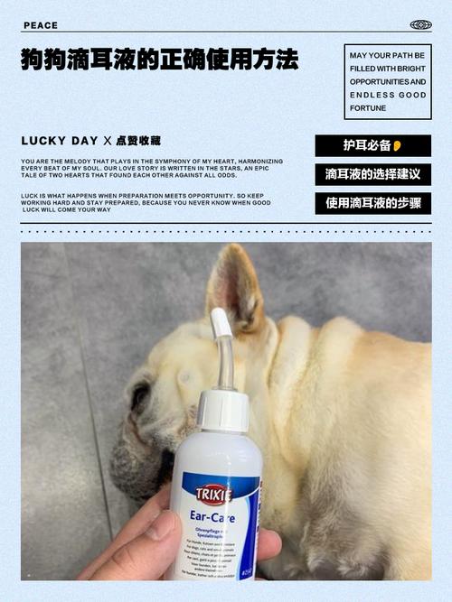 狗狗滴耳液怎么用