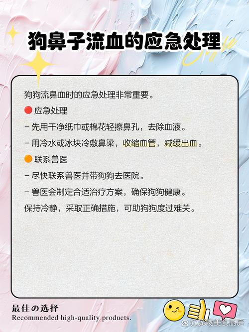 为什么狗狗鼻子流血