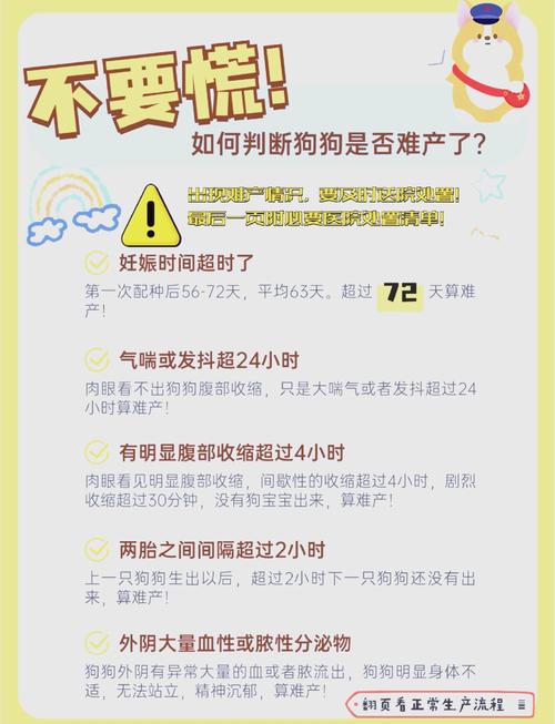 狗狗闹狗期间有什么症状?