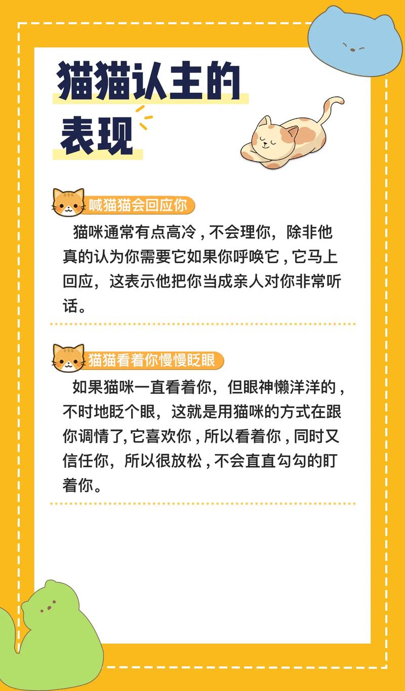 猫咪表达爱铲屎官的11种方式