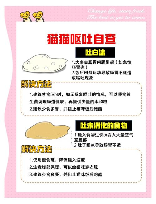 猫咪拉肚子呕吐怎么办