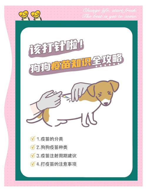 狗狗打的三针疫苗是哪三针?分别有什么作用?