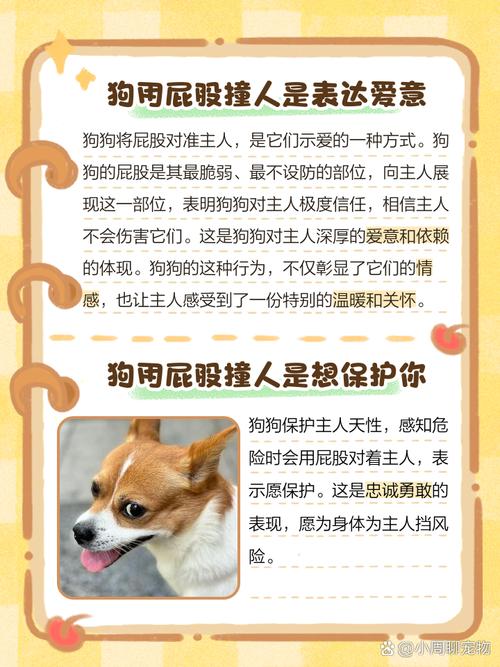 请问狗狗的细小病毒会传染人吗?