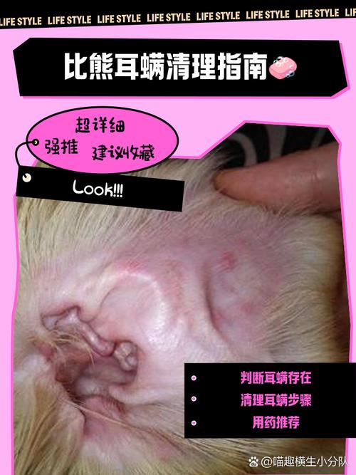 狗耳朵里的毛怎么去掉