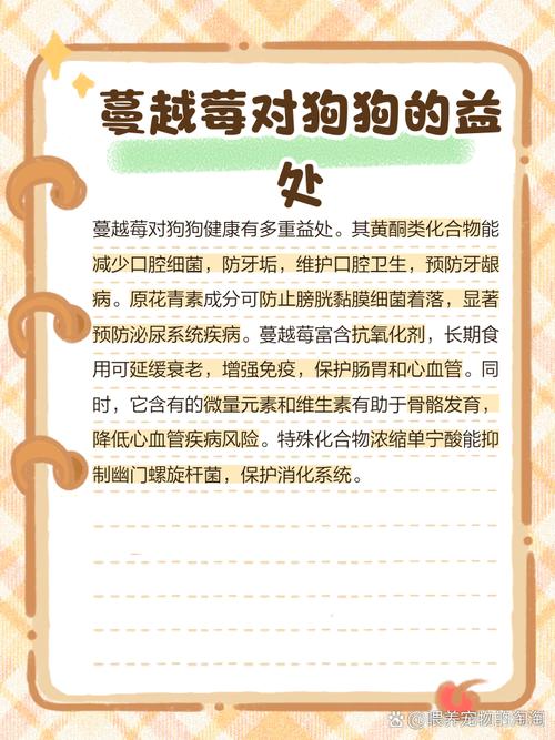 狗可以吃蔓越莓面包吗