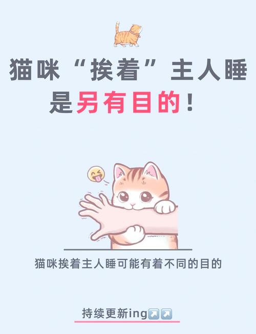 猫咪为什么喜欢睡在主人的枕头上?