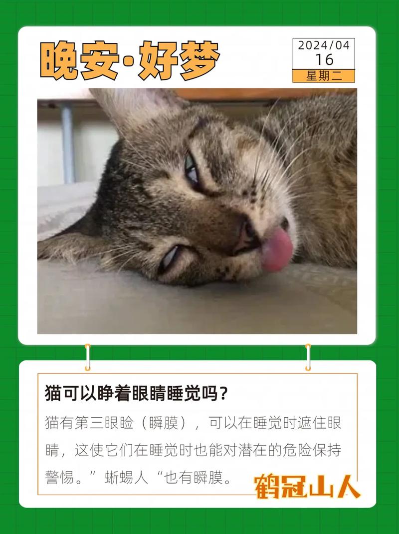 猫咪为什么睁着眼睛睡觉?