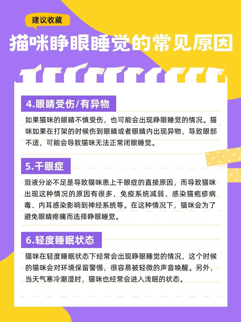 猫咪为什么睁眼睡觉?