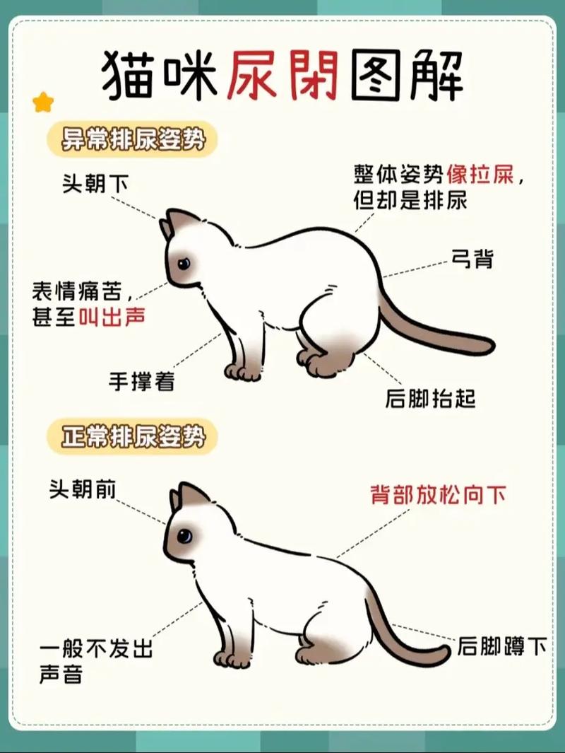 猫咪睡觉眼睛半睁半闭还抽搐怎么办