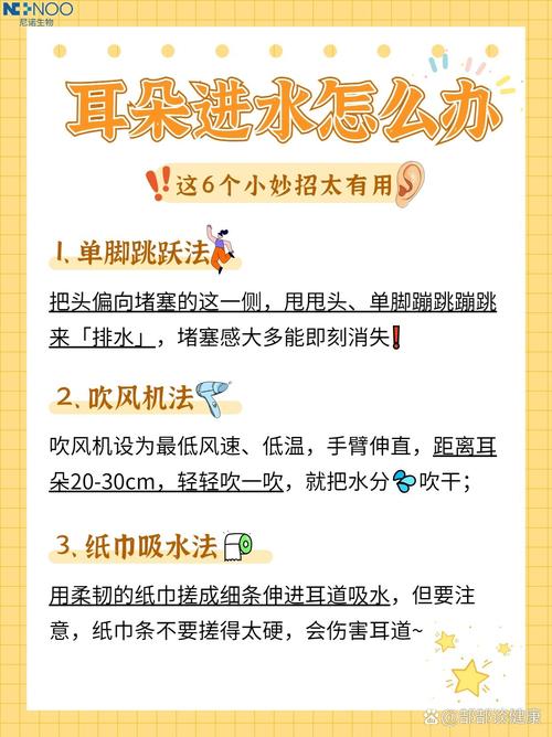 狗狗耳朵进水会怎么样?