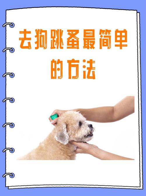 狗狗身上有跳蚤去除比较好办法?