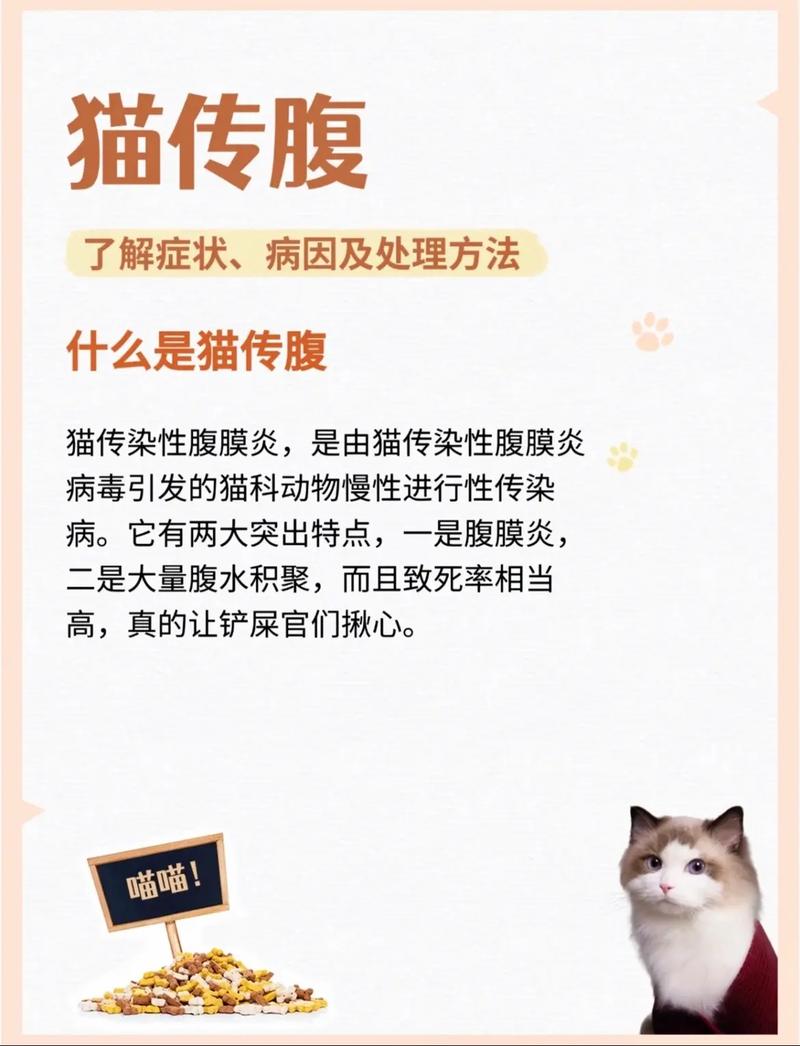 令家长们谈其色变的“猫传染性腹膜炎”真的有那么可怕吗?