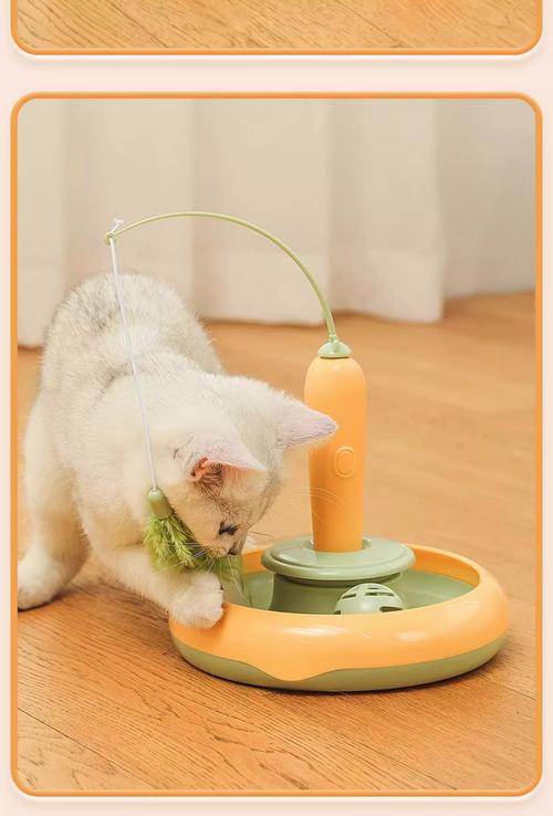 有哪些小玩具是养猫家庭必买的?