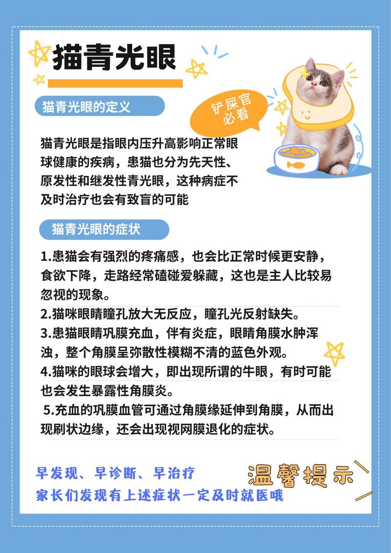 猫青光眼怎样治疗好