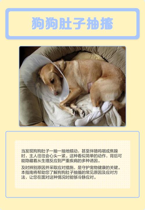 狗狗发出咔咔的声音,肚子一抽抽的,还干呕什么原因?