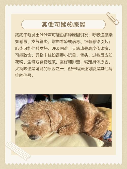 我家狗狗干呕是怎么回事啊?