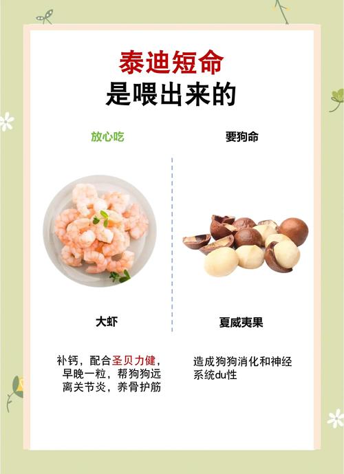 泰迪狗狗不可以(禁忌)吃什么?