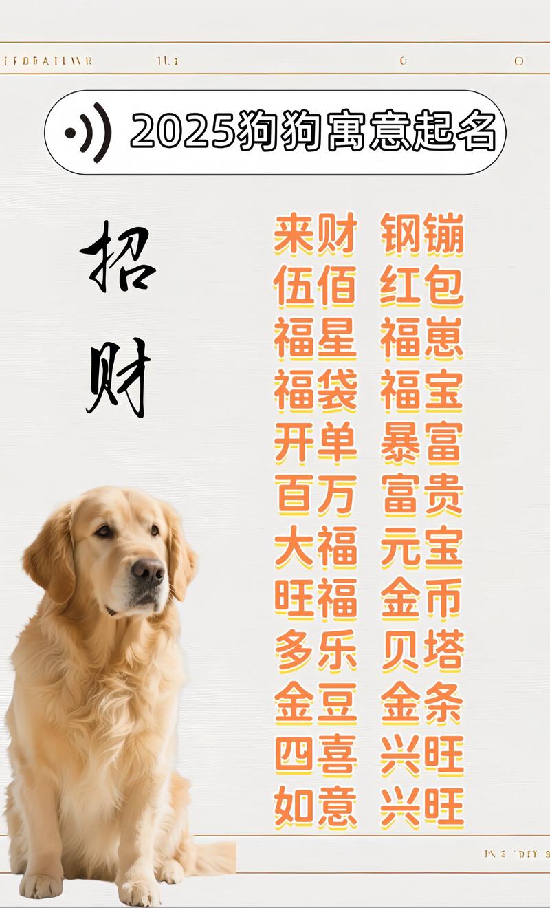 给狗狗取带财运的名字给狗狗取带财运的唯美名字