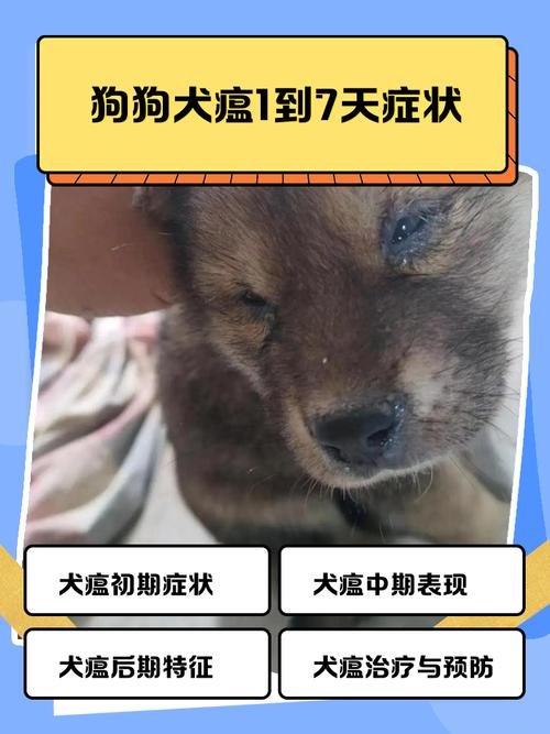 狗狗犬瘟晚期症状