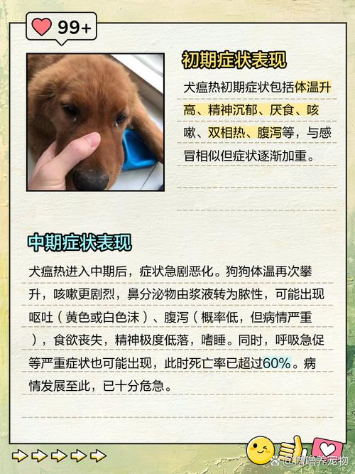 如何判断自家狗得了犬瘟