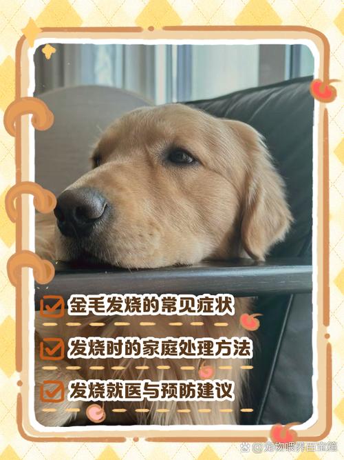 狗狗发烧不能超过多久能自愈吗