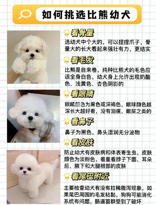 狗狗细小输液都输什么