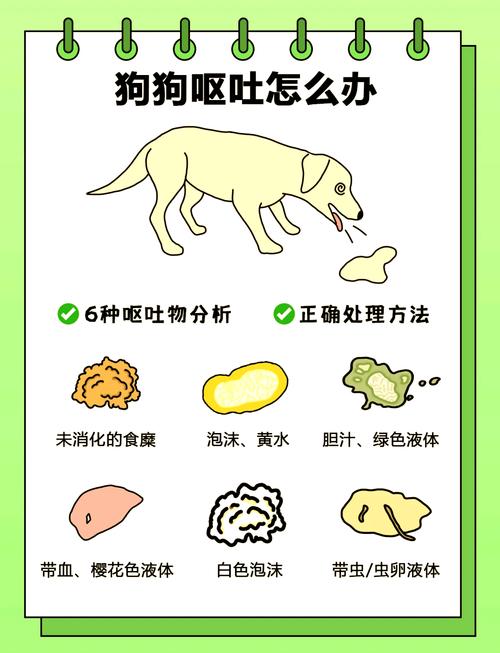 怎么判断狗狗吃了异物