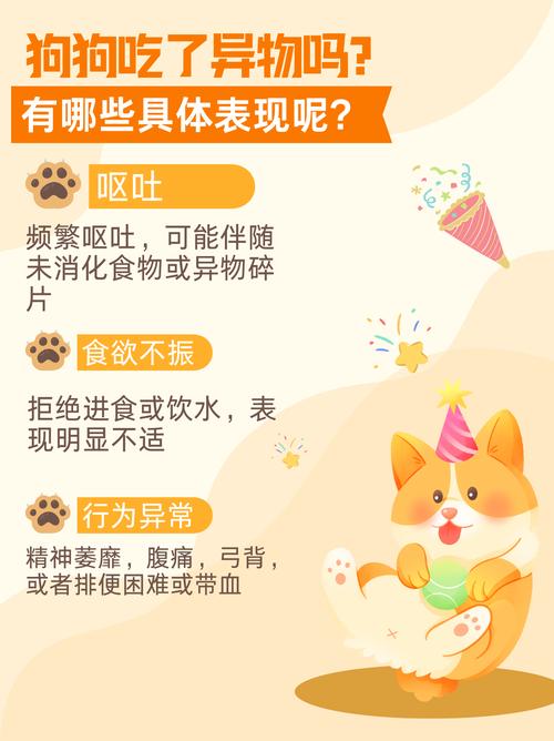 狗吃了异物会怎么样?