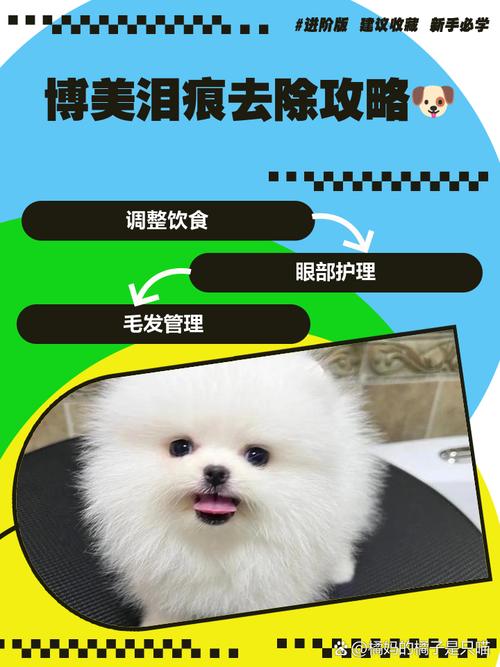 博美有一颗乳牙不掉不拔行吗?