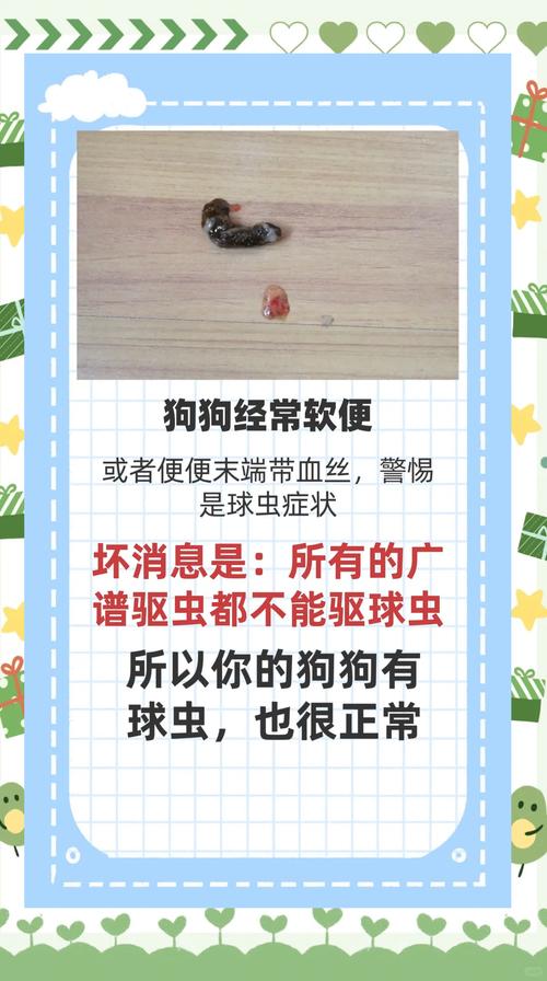 早期的狗狗球虫可以治好吗