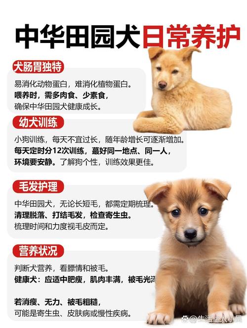 土狗多久能认新主人