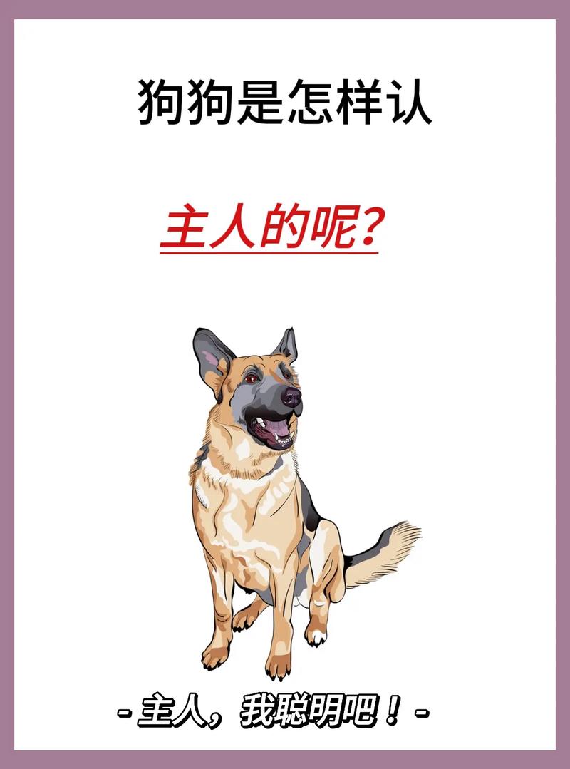狗狗怎样才会认主?