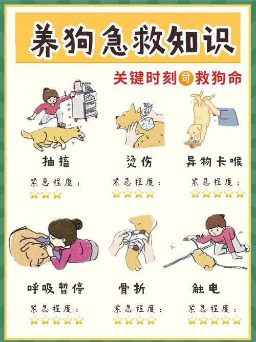 狗狗总是翻东西,把纸撕掉,怎么打都不听,该怎么办