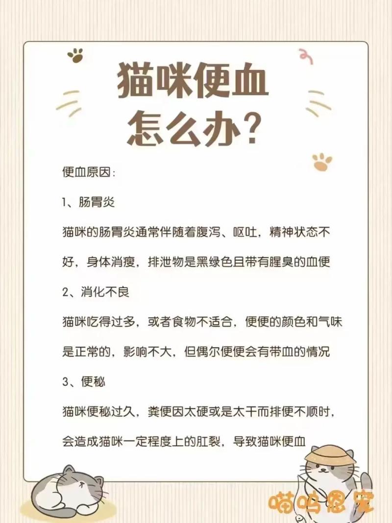 猫肠炎便血怎么治?