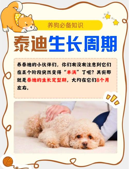 为什么狗狗可以吃醋