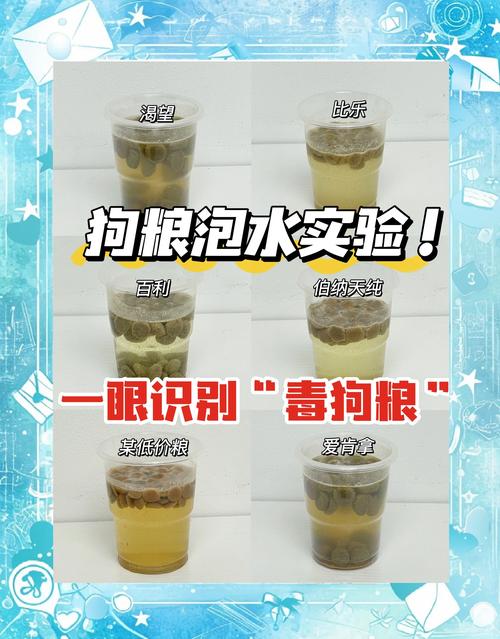 为什么狗狗要吃苹果醋?